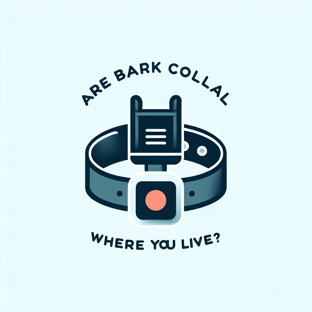 How to Combine Exercise, Enrichment, and Bark Training