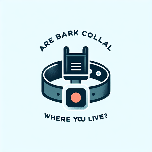 How to Combine Exercise, Enrichment, and Bark Training